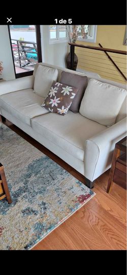 Light Gray Fabric Loveseat Sofa