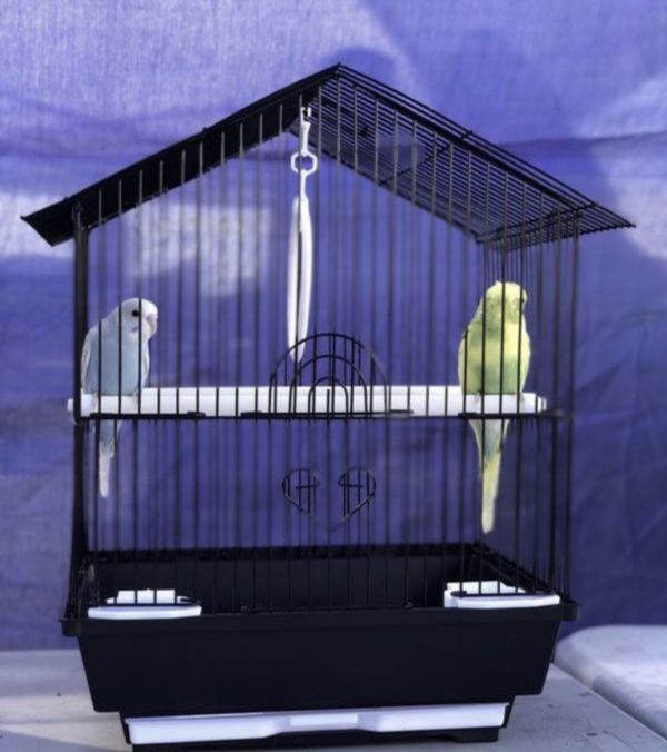 Where Can I Donate Bird Cages In Sacramento Ca