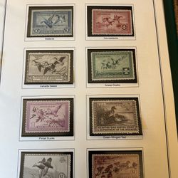 Complete Duck Stamp Collection. 1(contact info removed). Nice Condition! 