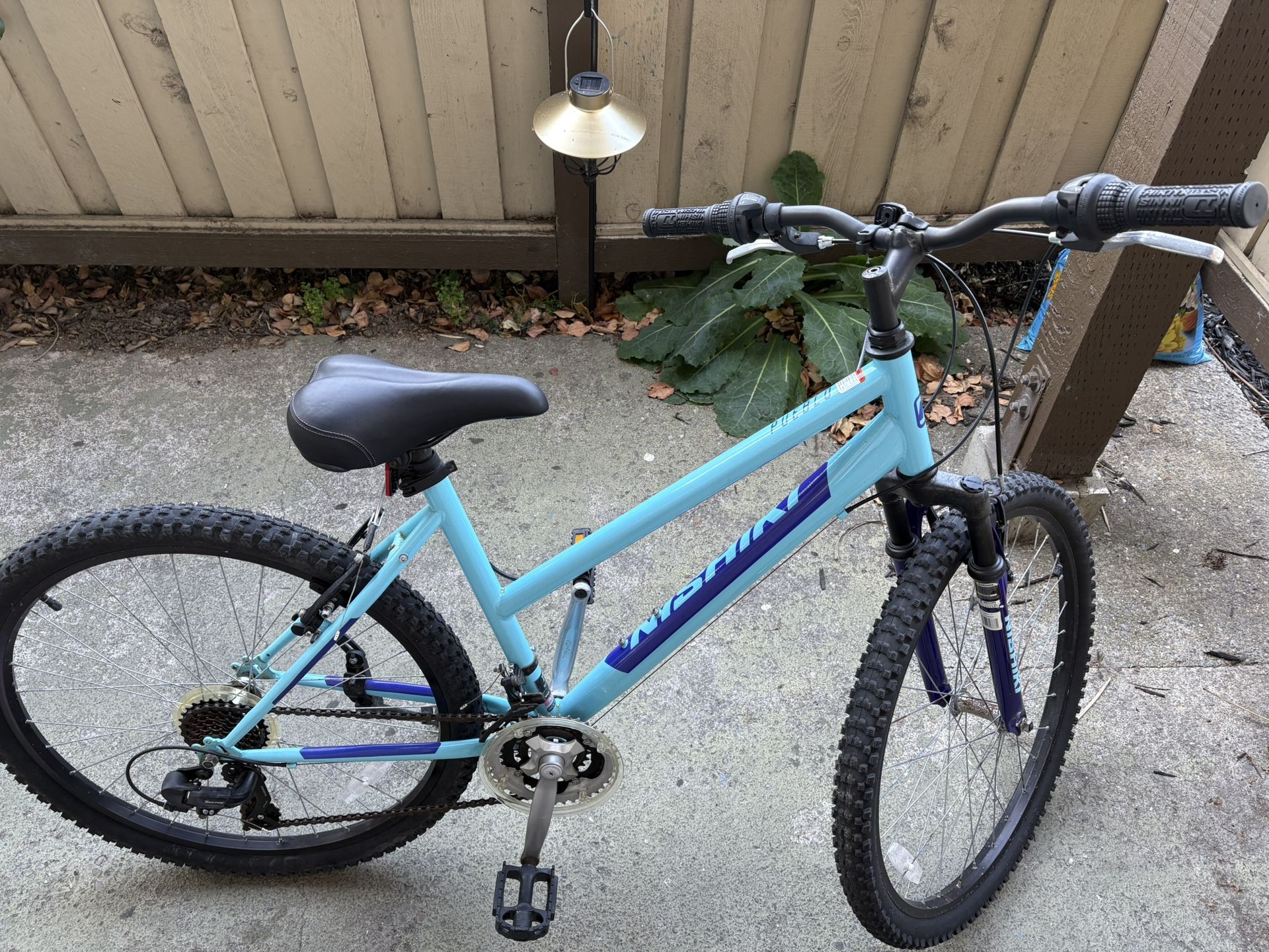 Bike 17” - Nishiki
