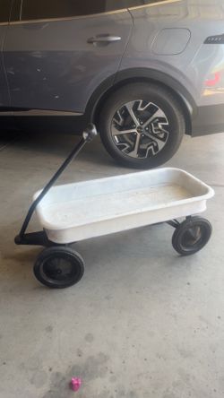 Radio flyer wagon