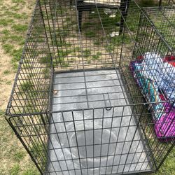 Dog Kennel