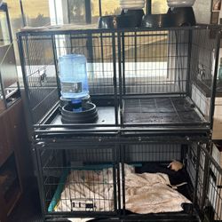 Double Dog Kennel 