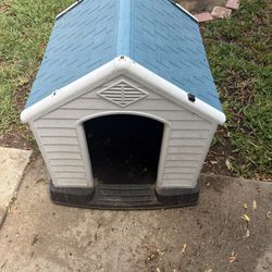 Dog House 