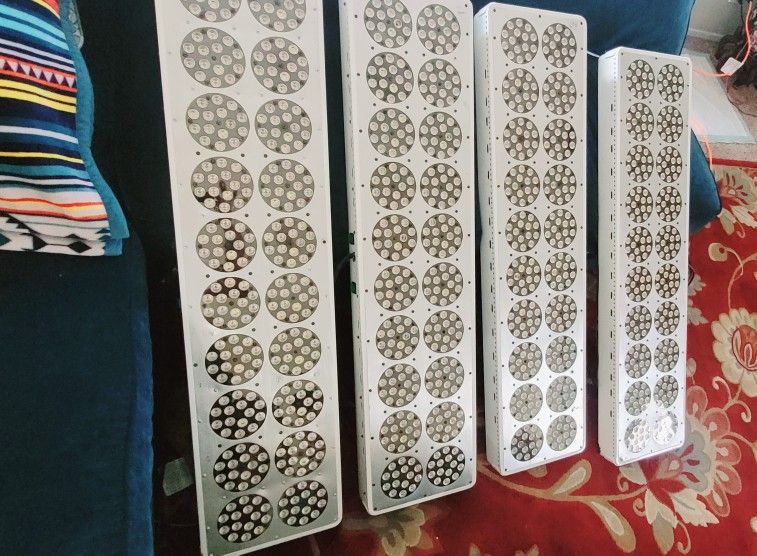 Full Spectrum LED Grow Lights