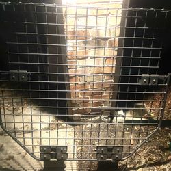 wire mesh partition For Van 