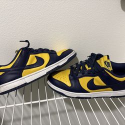 Michigan Dunk Lows