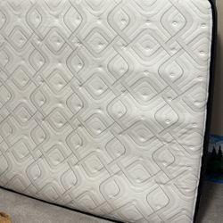 Queen size Sealy with box spring - need gone