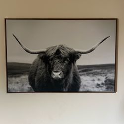 Bull Picture & Frame