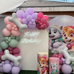 Paw Patrol Birthday Party Decoration