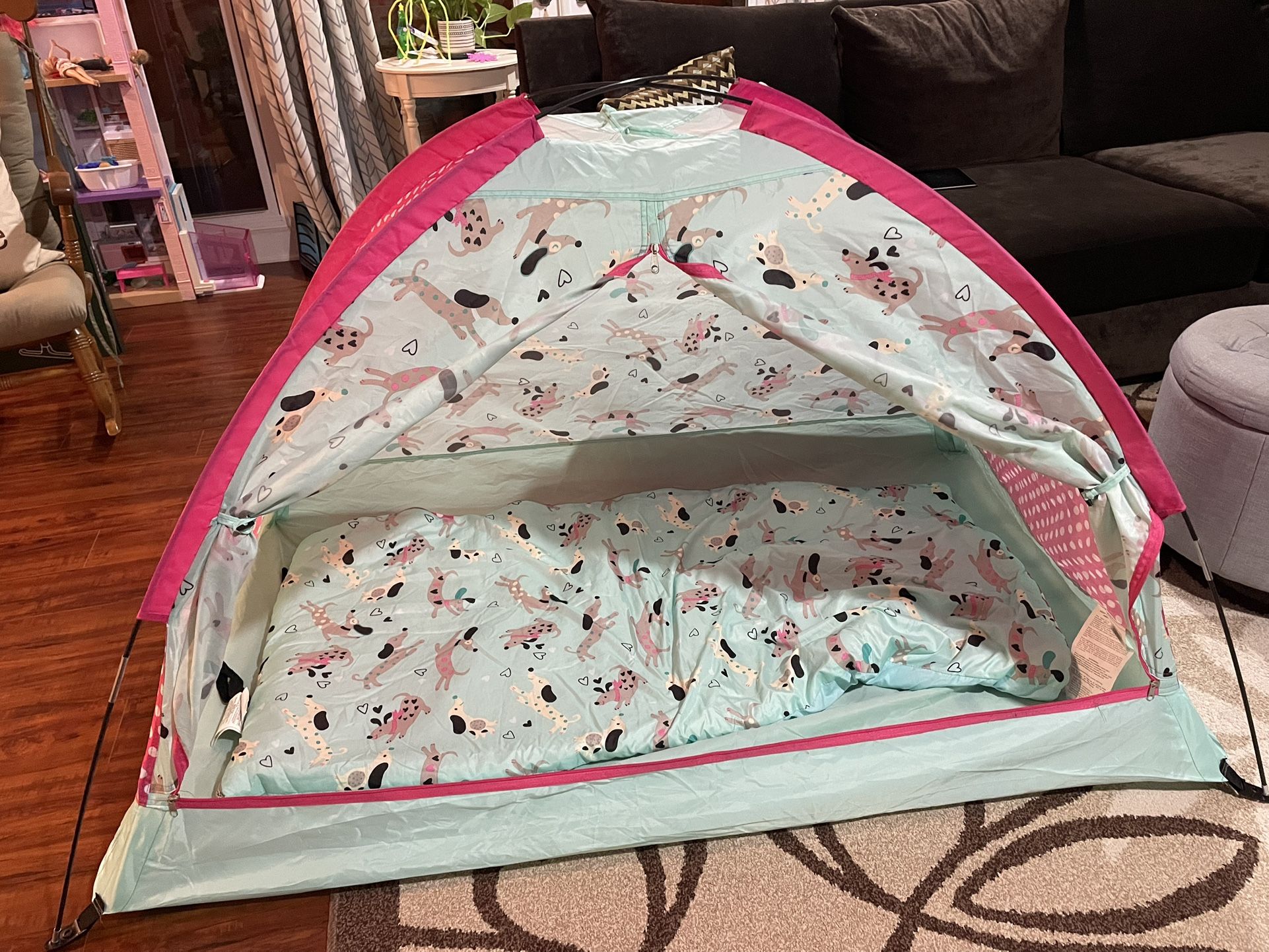 Tent, Sleeping Bag and Carrying Bag