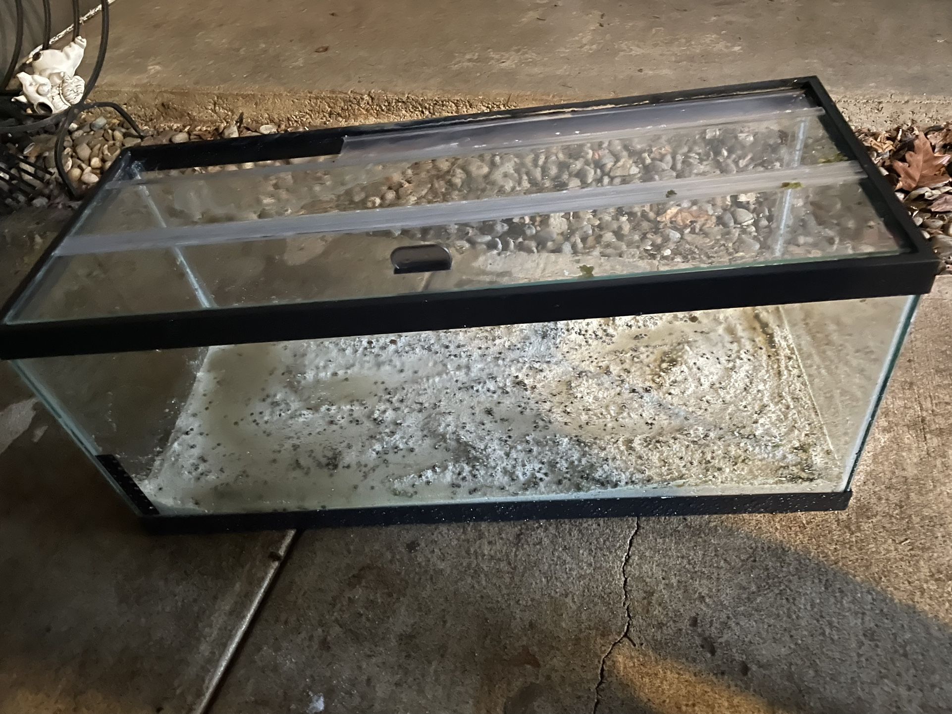 Aquarium (20 Gallon)