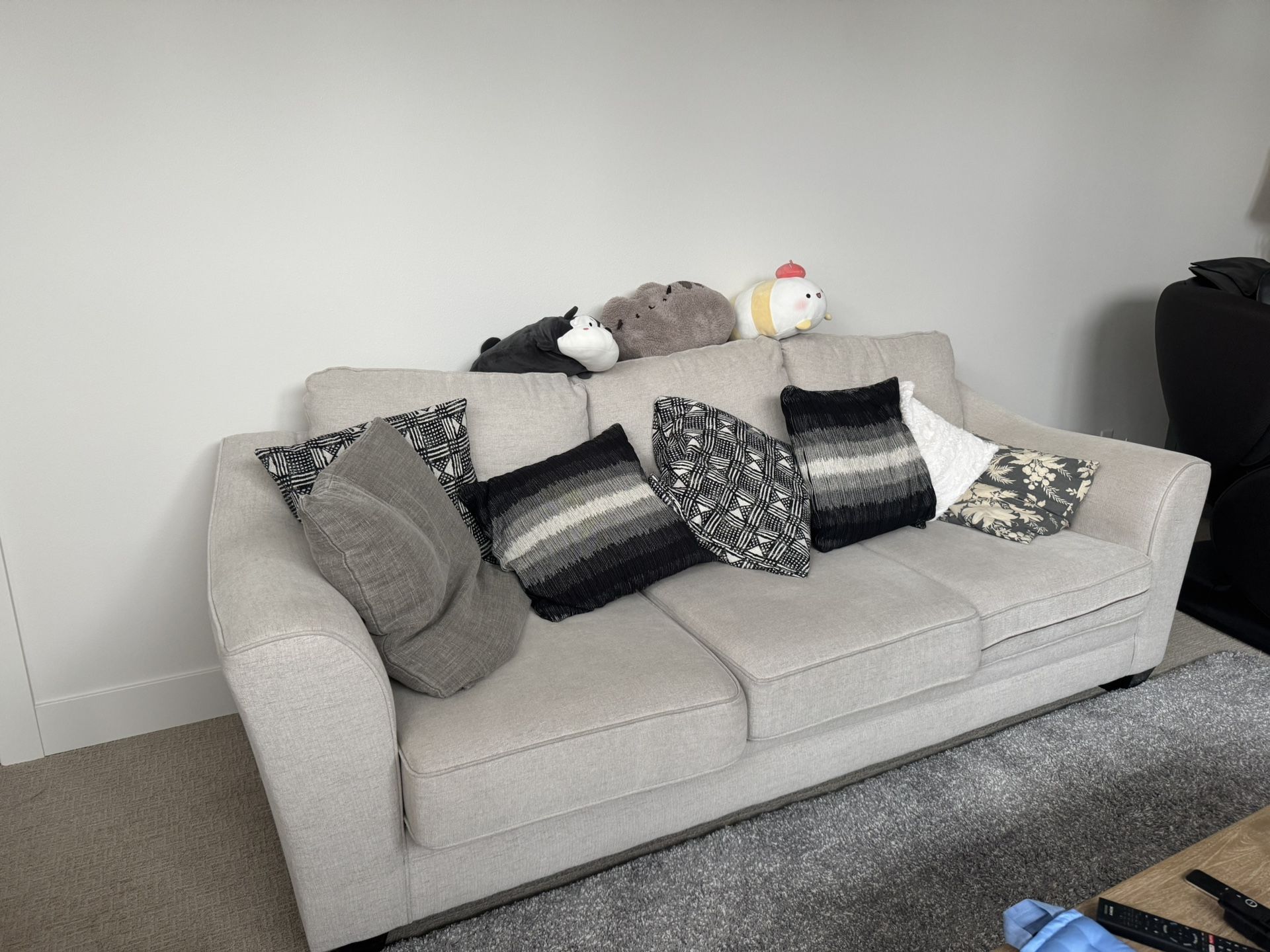 living space sofa 95’’