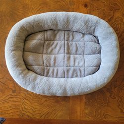 Puppy/Cat Bed (Free)