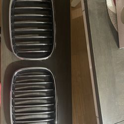 BMW 750 Grill OEM
