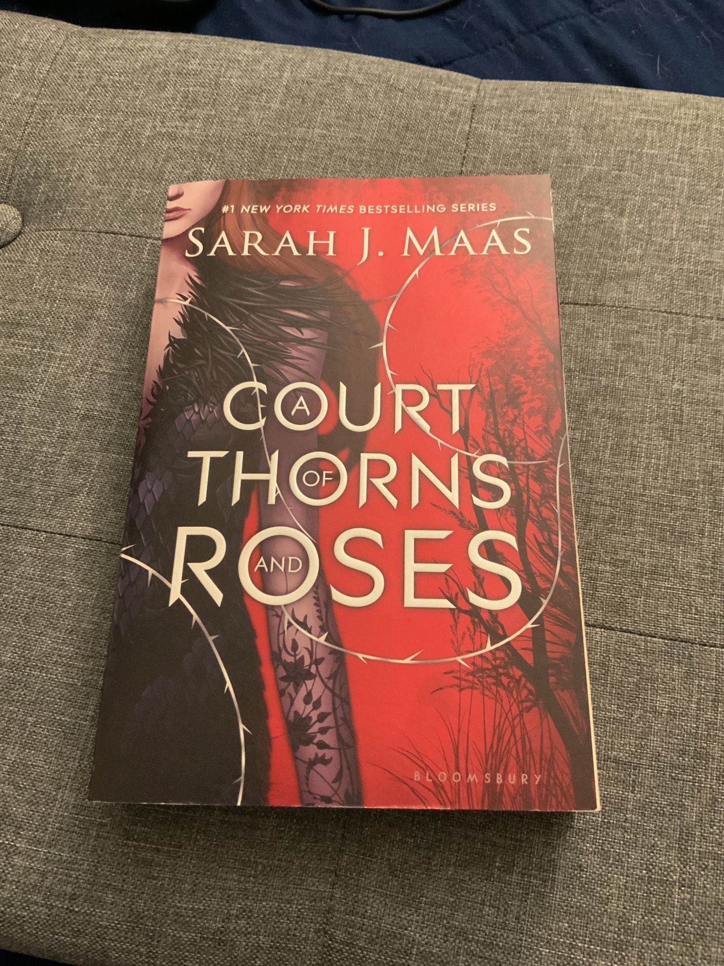 Court of Thorns and Roses (paperback)