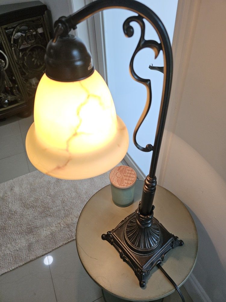 Swan Neck Lamp 