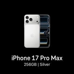 17 Pro Max