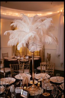 Ostrich Feathers – White