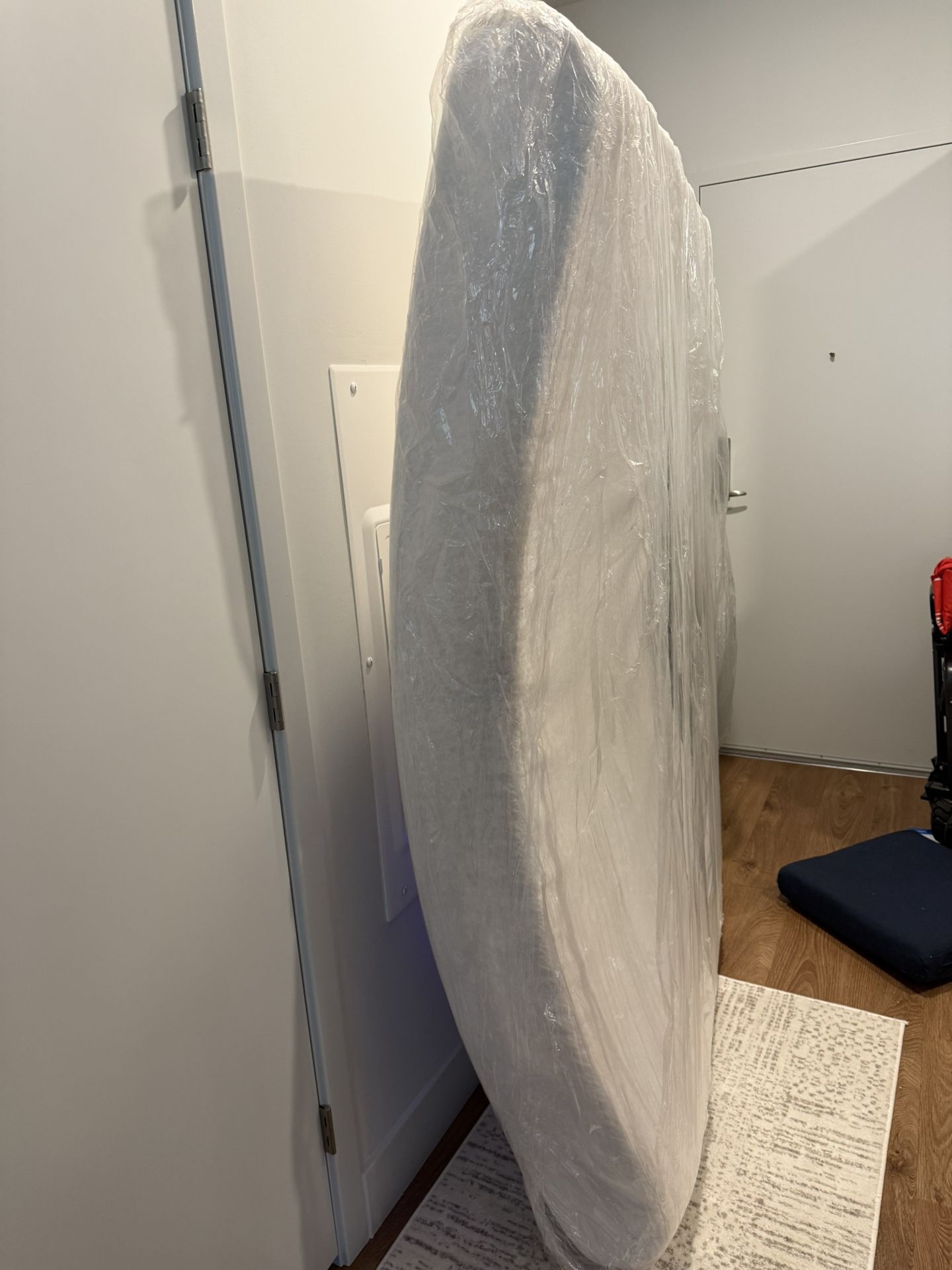 Free Queen Mattress