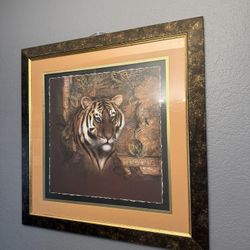 Large Lion Photo
