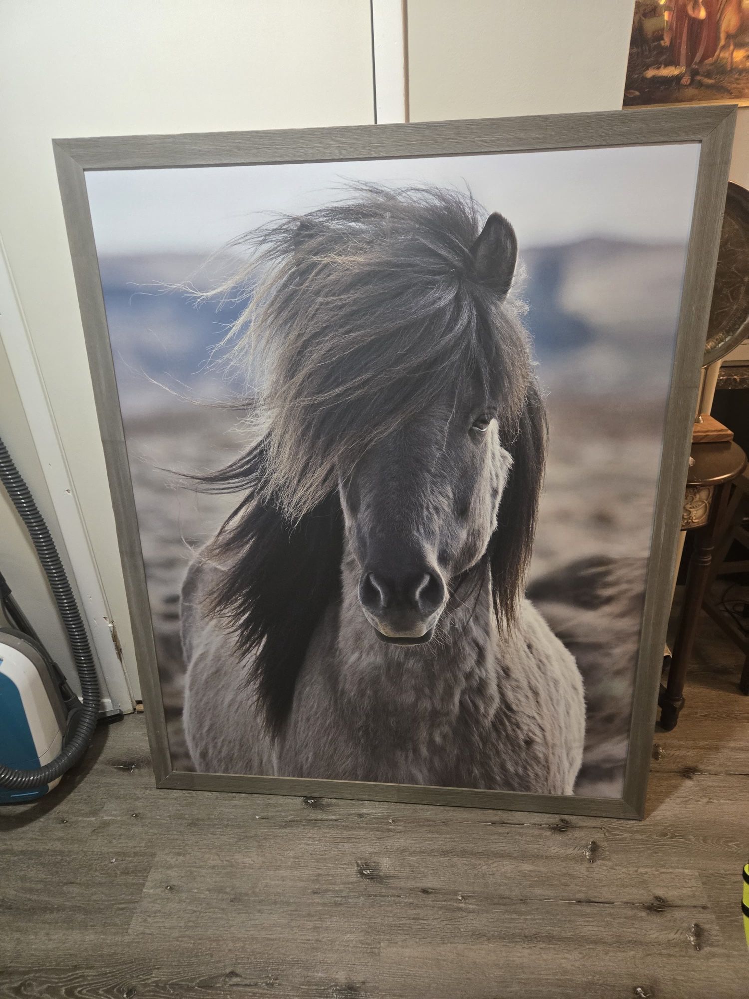 Horse Photo Wall Art