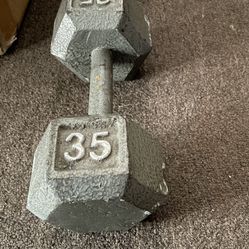 35 Lb Cap Dumbbell 