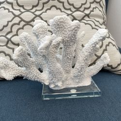 Coral Decor
