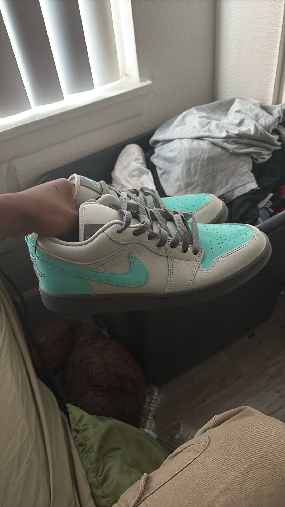 100 Jordan 1 Lows 