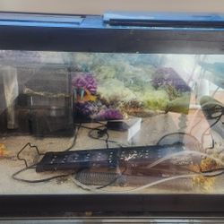 Fish Tank and Supplies 