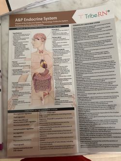 Medical term study book