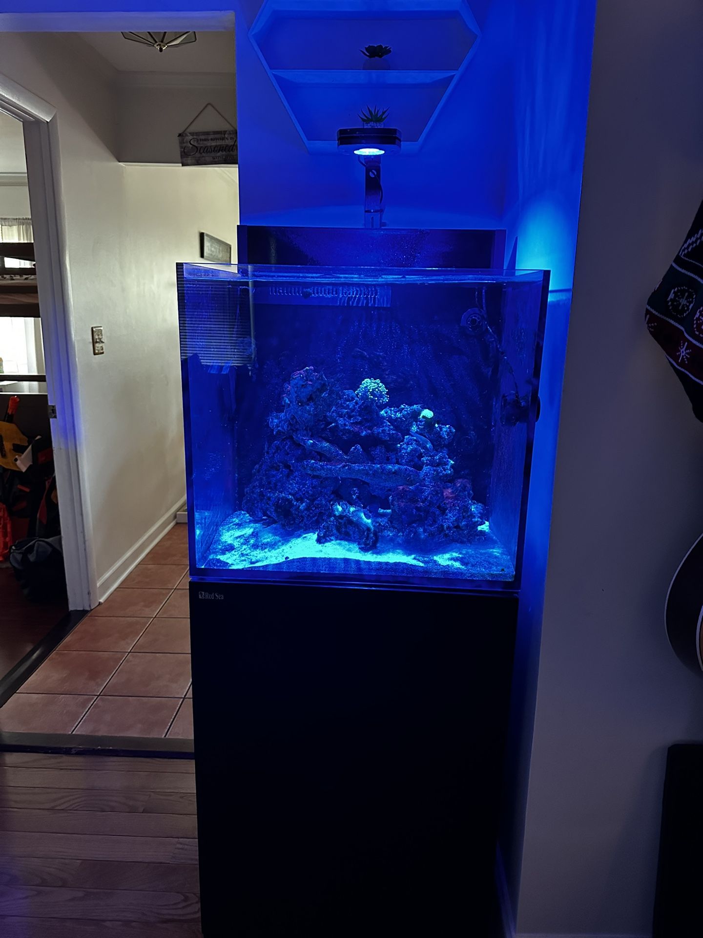 Red Sea Max E - 170 black Stand