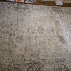 8' x 10" Area Rug