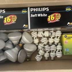 Light Bulbs