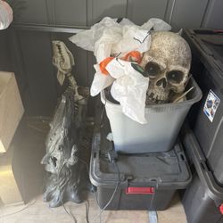 Halloween Decorations 