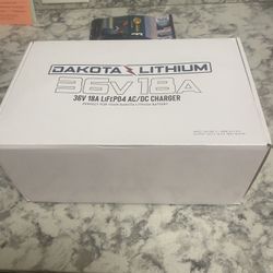 Lithium Battery Charger 