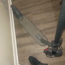 Roinside 36v Scooter 