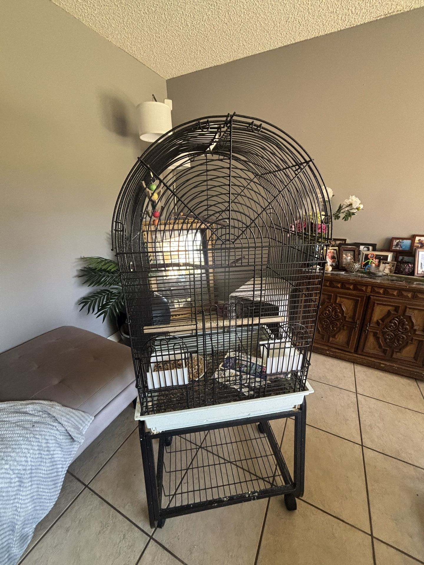 Bird Cage