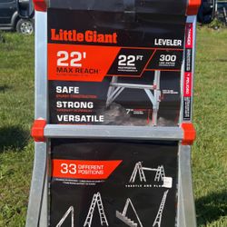 Little Giant Strong Virgin Ladder