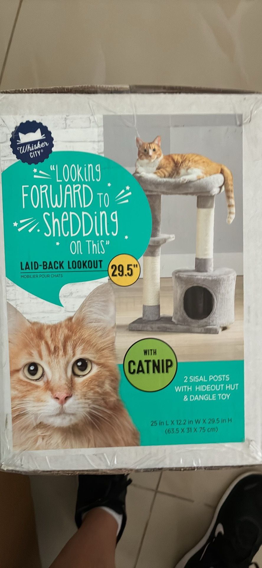 Cat Happy Tree