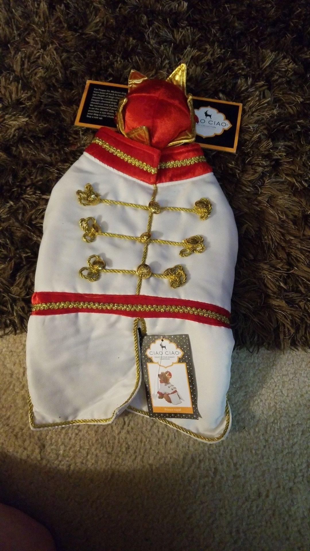 Little king holloween costume for a dog small