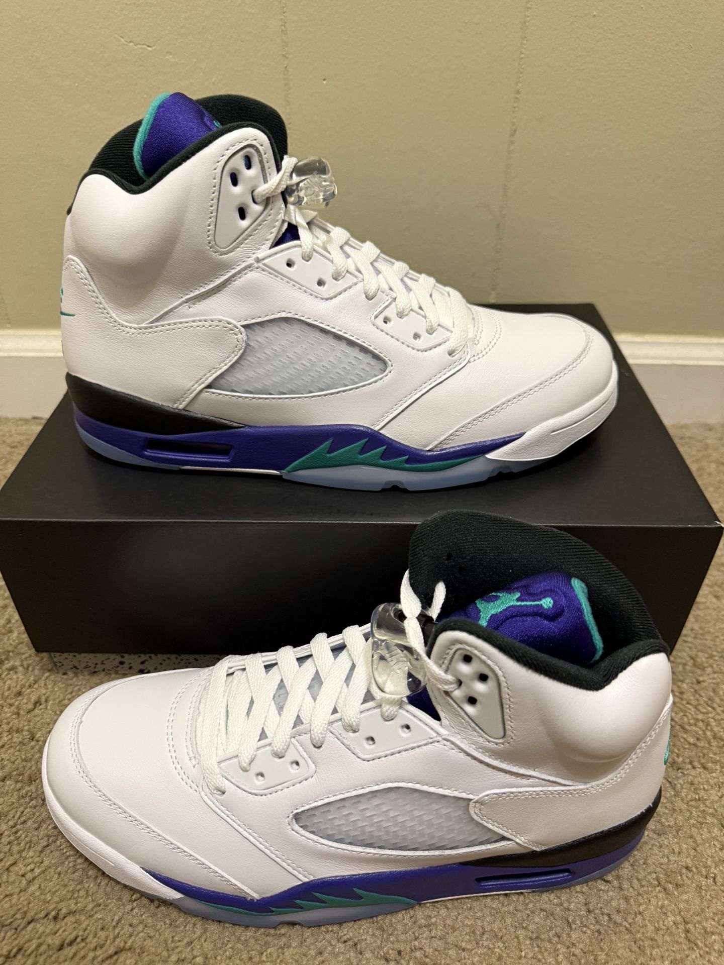Brand New Jordan 5 Grape 2025