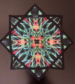 Spin Flow Star