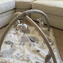 Pottery Barn Kids Play Mat /gym