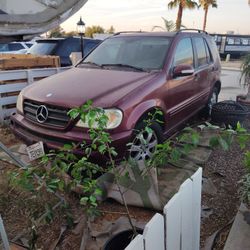 ML350