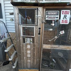 Bird Aviary 