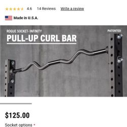Rogue Infinity Socket Pull-up Curl Bar