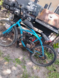 2 Bikes For The Prize Of One 100cc Motor Bike And A Beach Cruiser