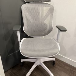 Modern Mesh Office Chair