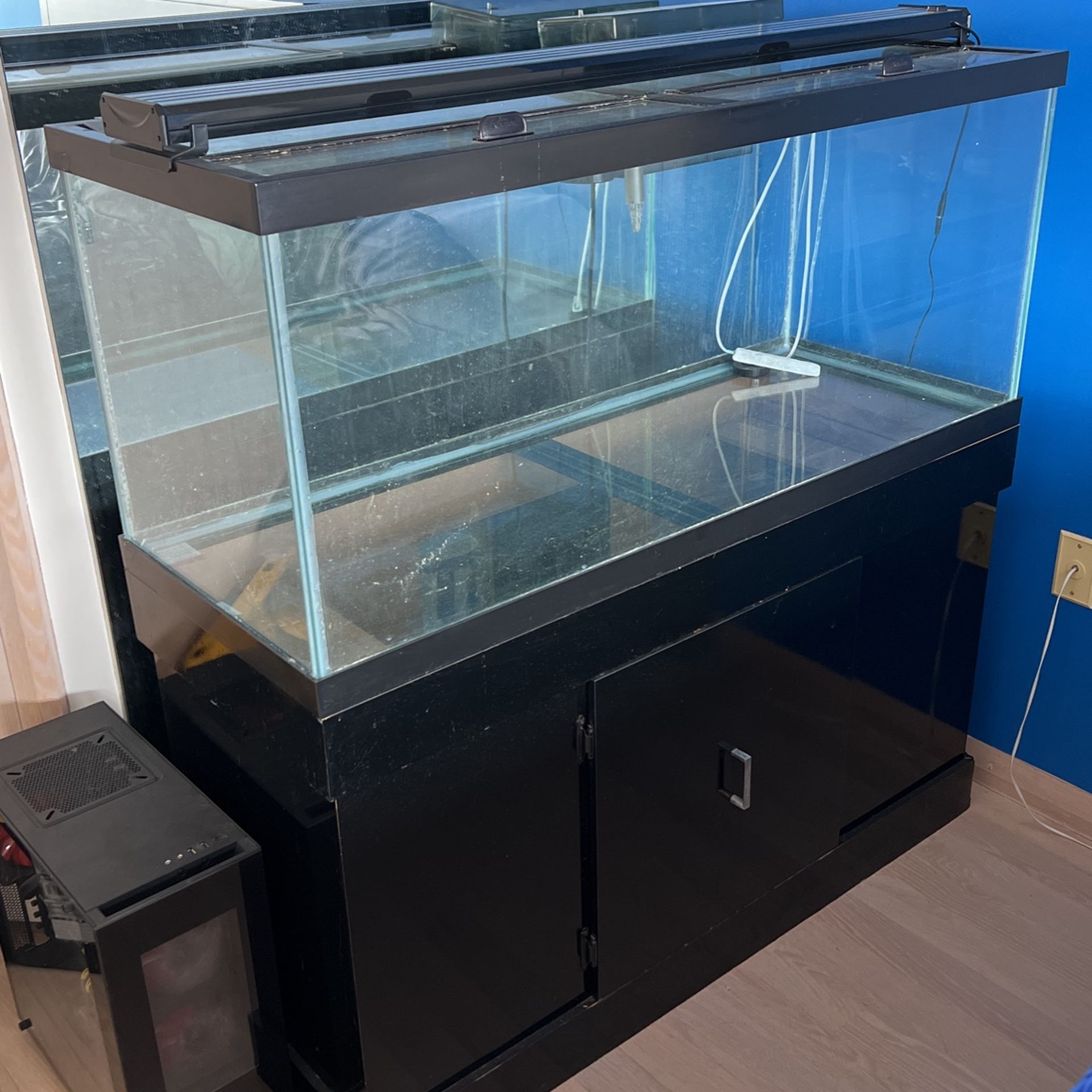 Fish Tank